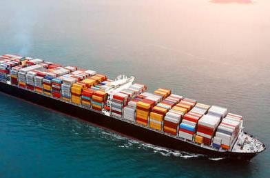 深圳海运的未来发展趋势如何？