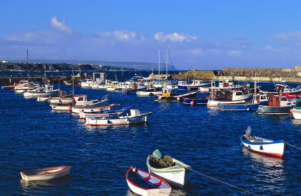 摩洛哥货运代理行业形势如何？其在国际贸易发展中的作用有哪些？